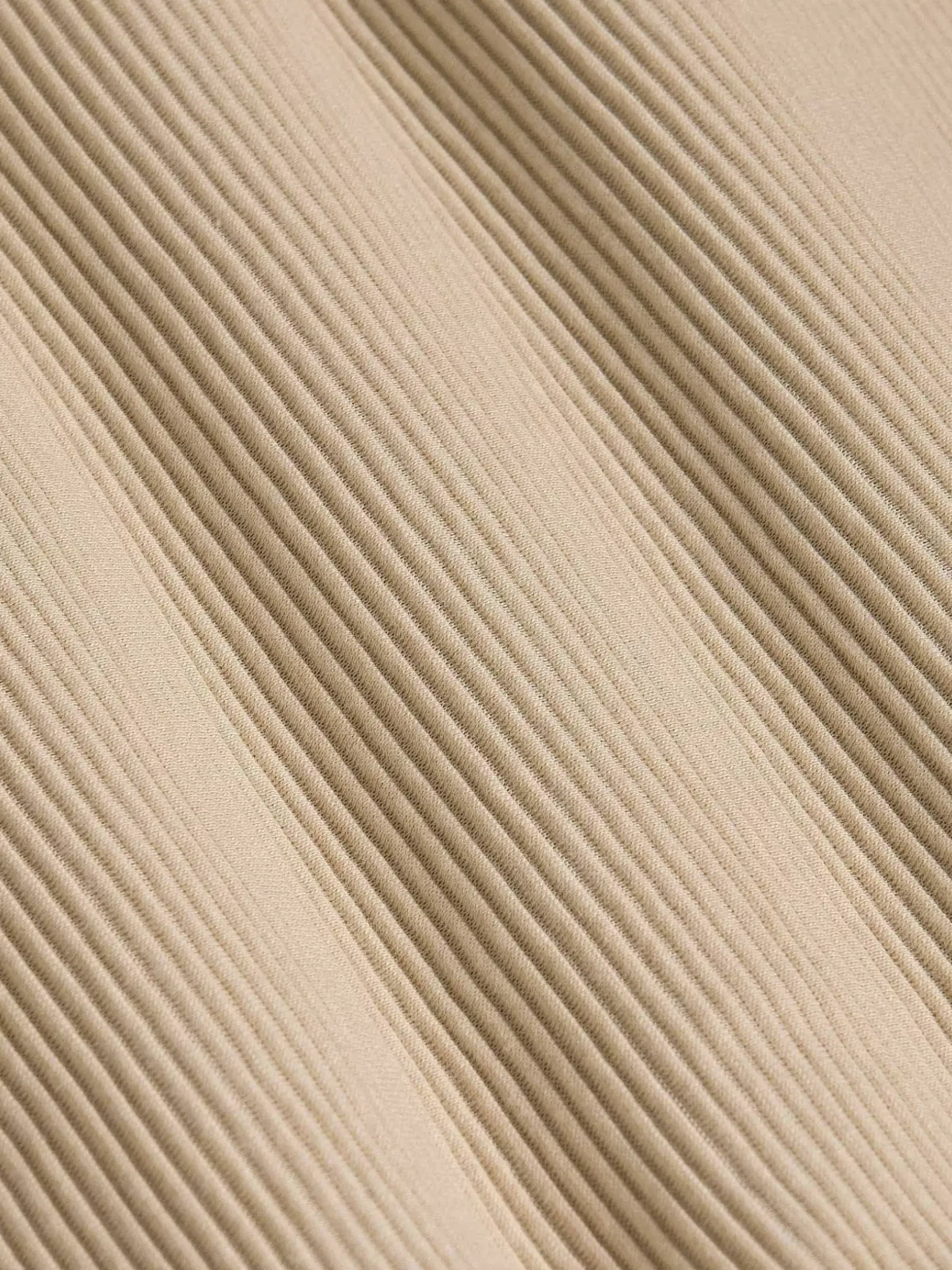 Wam Denim T-Shirts|Dambas Signature Crew Neck T-Shirt Beige