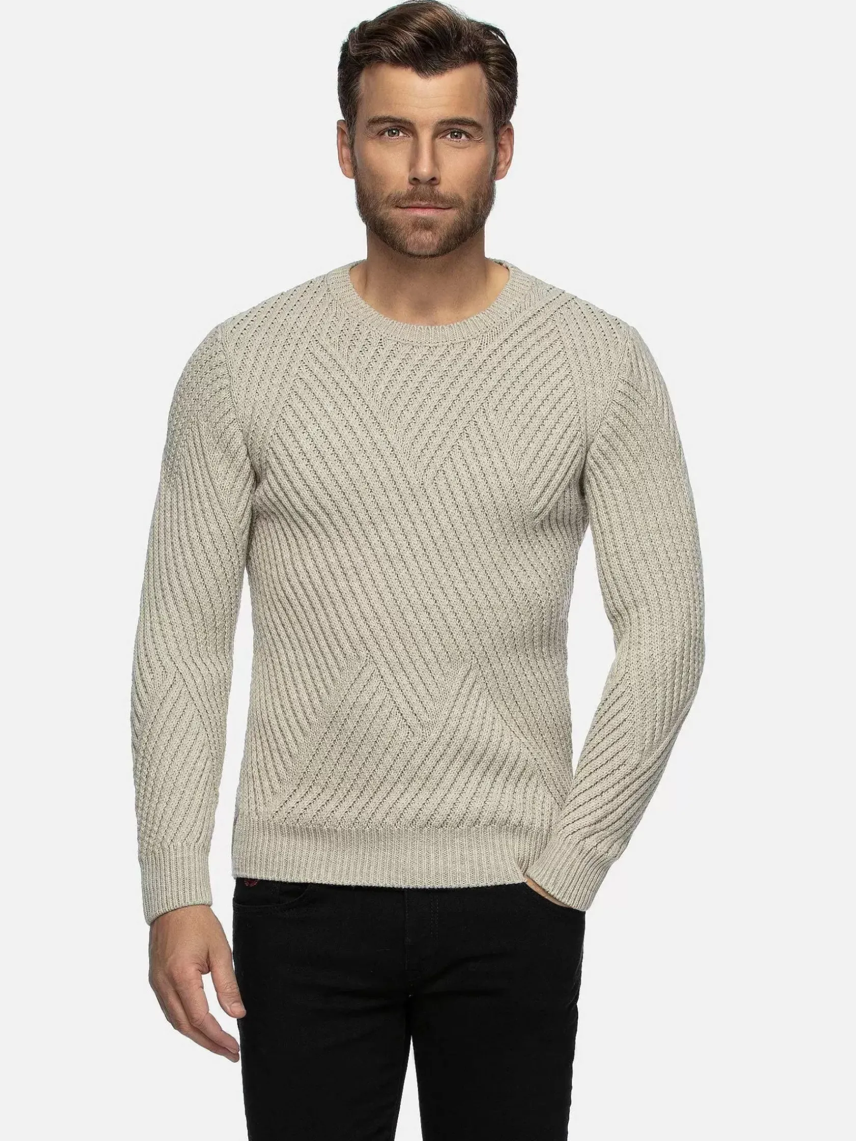 Wam Denim Truien|Minnesota Pattern Crew Neck Beige Truien