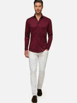 Wam Denim Overhemd Lange Mouwen|Tempesta Plain Cotton Purple Overhemd Lange Mouw