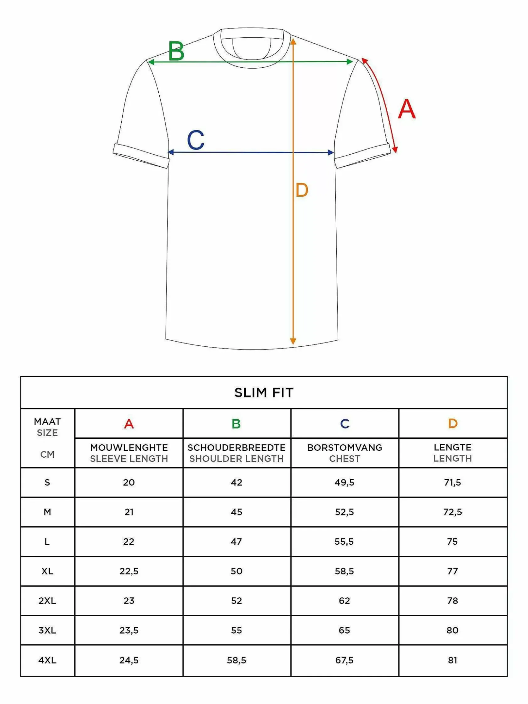 Wam Denim T-Shirts|T-Shirt 79593 Kyoto Menthol